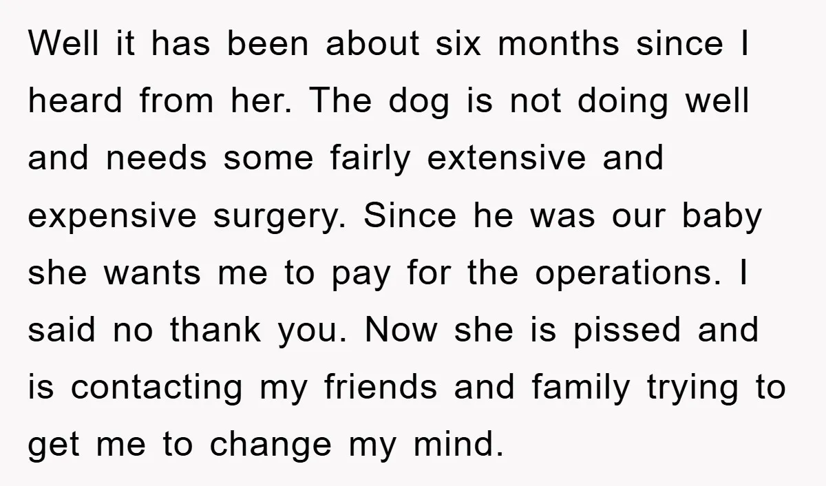 Well it has been about six months since I heard from her. The dog is not doing well and needs some fairly extensive and expensive surgery. Since he was our...