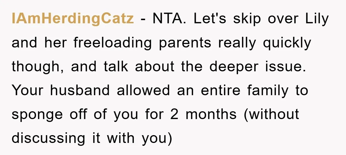 IAmHerdingCatz − NTA. Let's skip over Lily and her freeloading parents really quickly though, and talk about the deeper issue. Your husband allowed an entire family to sponge off of...