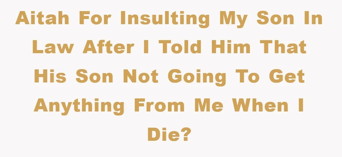 AITAH for insulting my son in law after I told him that his son not going to get anything from me when I die?