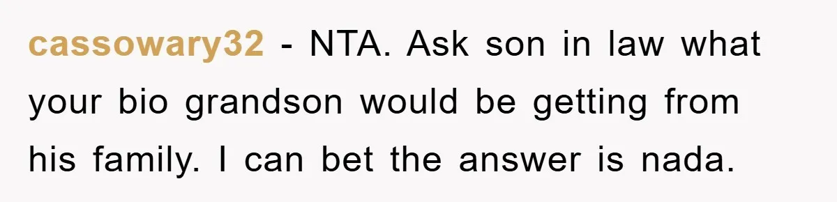 cassowary32 − NTA. Ask son in law what your bio grandson would be getting from his family. I can bet the answer is nada.