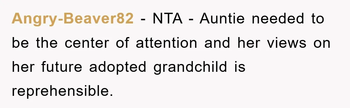 Angry-Beaver82 − NTA - Auntie needed to be the center of attention and her views on her future adopted grandchild is reprehensible.
