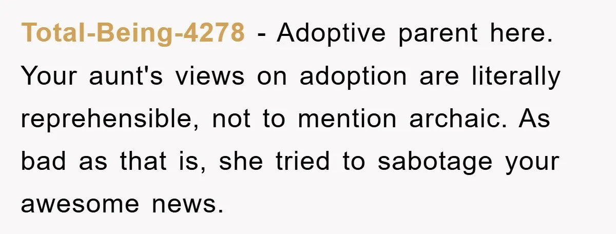 Total-Being-4278 − Adoptive parent here. Your aunt's views on adoption are literally reprehensible, not to mention archaic. As bad as that is, she tried to sabotage your awesome news.
