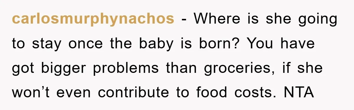 carlosmurphynachos − Where is she going to stay once the baby is born? You have got bigger problems than groceries, if she won’t even contribute to food costs. NTA