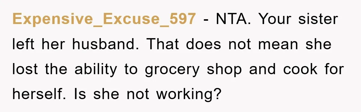 Expensive_Excuse_597 − NTA. Your sister left her husband. That does not mean she lost the ability to grocery shop and cook for herself. Is she not working?
