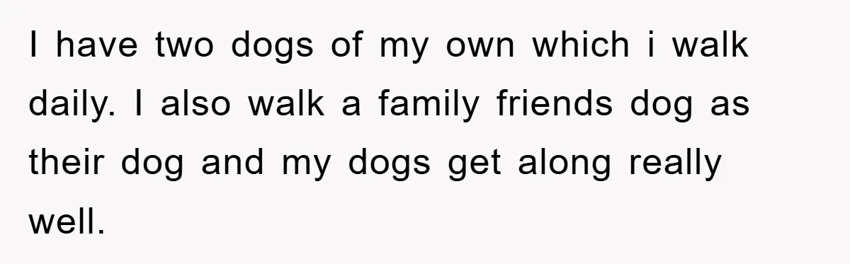 I have two dogs of my own which i walk daily. I also walk a family friends dog as their dog and my dogs get along really well.