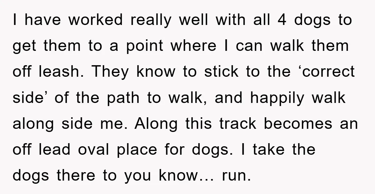 I have worked really well with all 4 dogs to get them to a point where I can walk them off leash. They know to stick to the ‘correct side’...