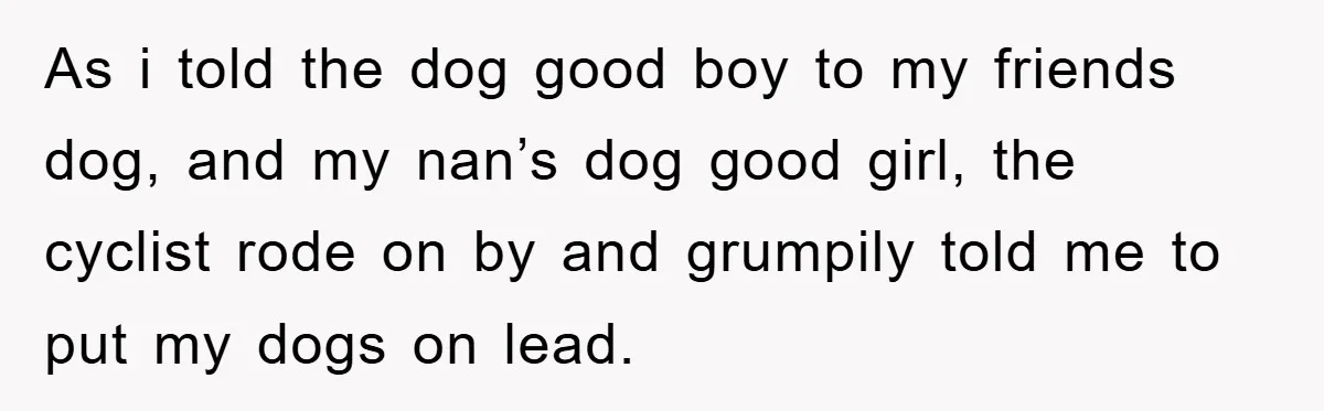 As i told the dog good boy to my friends dog, and my nan’s dog good girl, the cyclist rode on by and grumpily told me to put my dogs...