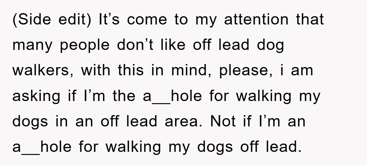 (Side edit) It’s come to my attention that many people don’t like off lead dog walkers, with this in mind, please, i am asking if I’m the a__hole for walking...