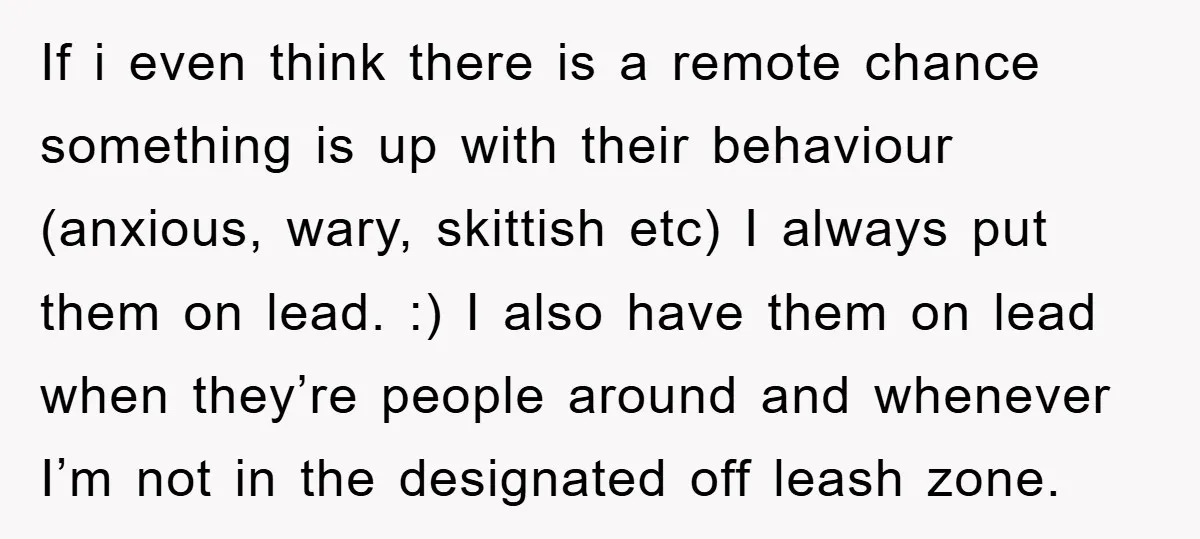 If i even think there is a remote chance something is up with their behaviour (anxious, wary, skittish etc) I always put them on lead. :) I also have them...