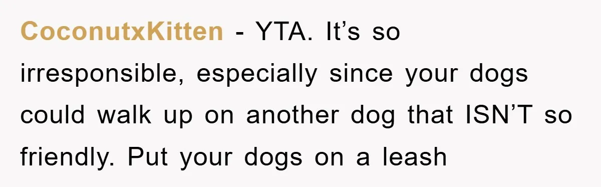CoconutxKitten − YTA. It’s so irresponsible, especially since your dogs could walk up on another dog that ISN’T so friendly. Put your dogs on a leash