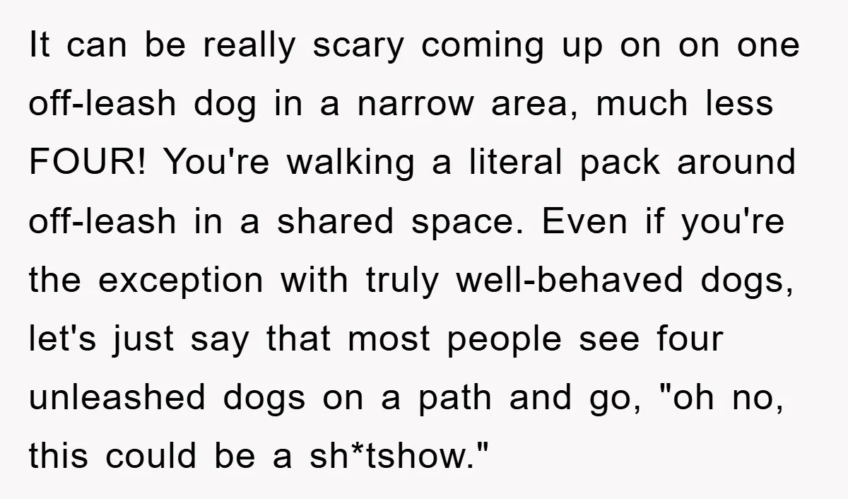 It can be really scary coming up on on one off-leash dog in a narrow area, much less FOUR! You're walking a literal pack around off-leash in a shared space....