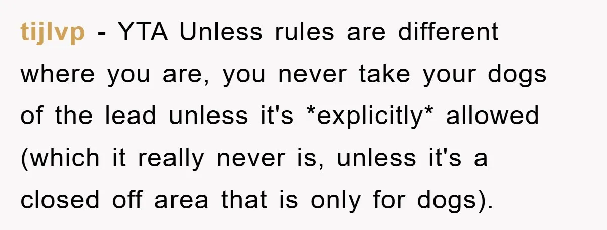 tijlvp − YTA Unless rules are different where you are, you never take your dogs of the lead unless it's *explicitly* allowed (which it really never is, unless it's a...