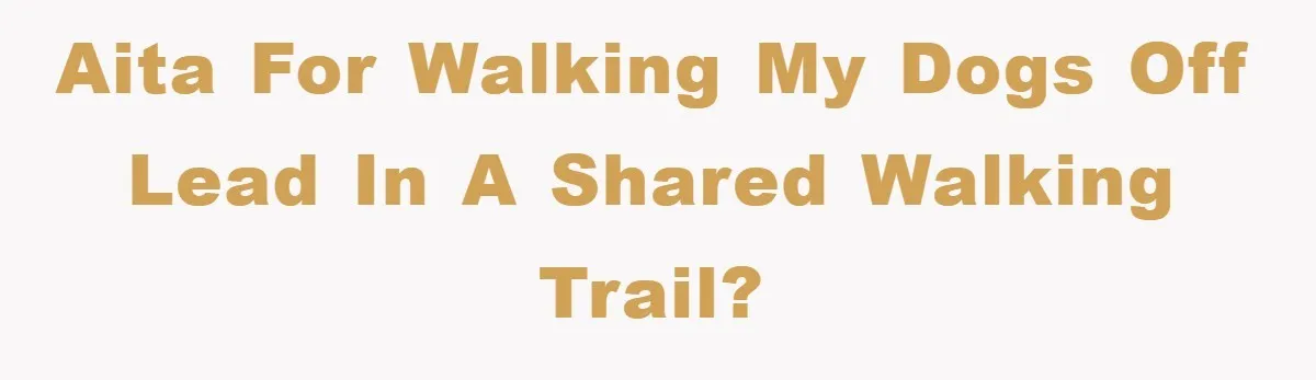 AITA for walking my dogs off lead in a shared walking trail?