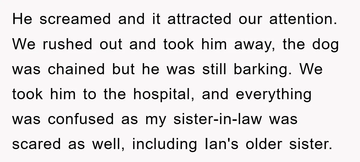 He screamed and it attracted our attention. We rushed out and took him away, the dog was chained but he was still barking. We took him to the hospital, and...