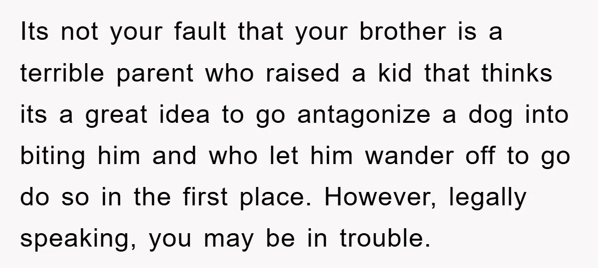 Its not your fault that your brother is a terrible parent who raised a kid that thinks its a great idea to go antagonize a dog into biting him and...