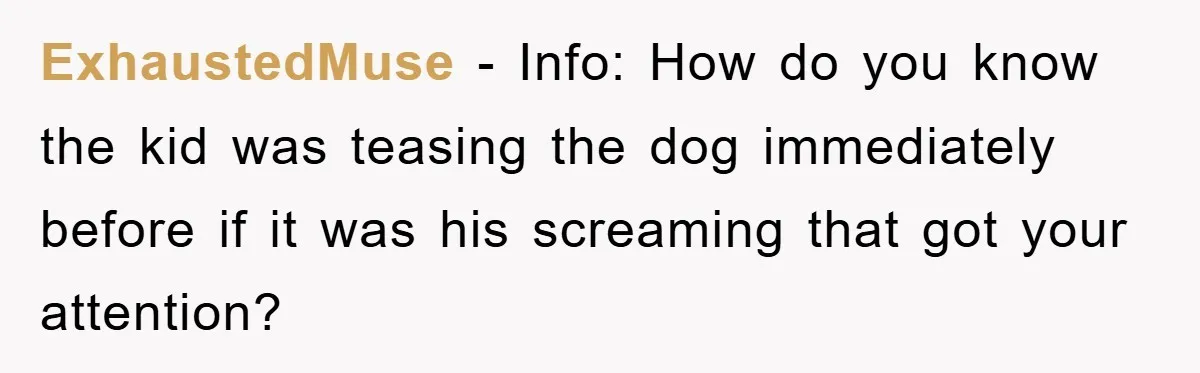 ExhaustedMuse − Info: How do you know the kid was teasing the dog immediately before if it was his screaming that got your attention?