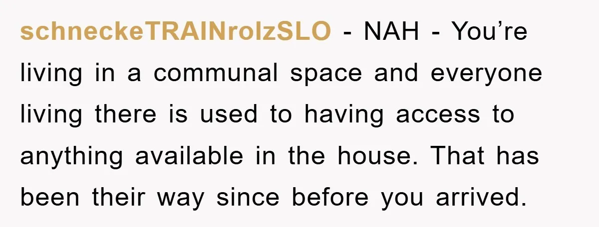 schneckeTRAINrolzSLO − NAH - You’re living in a communal space and everyone living there is used to having access to anything available in the house. That has been their way...