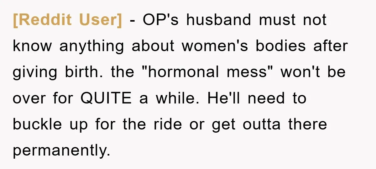 [Reddit User] − OP's husband must not know anything about women's bodies after giving birth. the "hormonal mess" won't be over for QUITE a while. He'll need to buckle up...