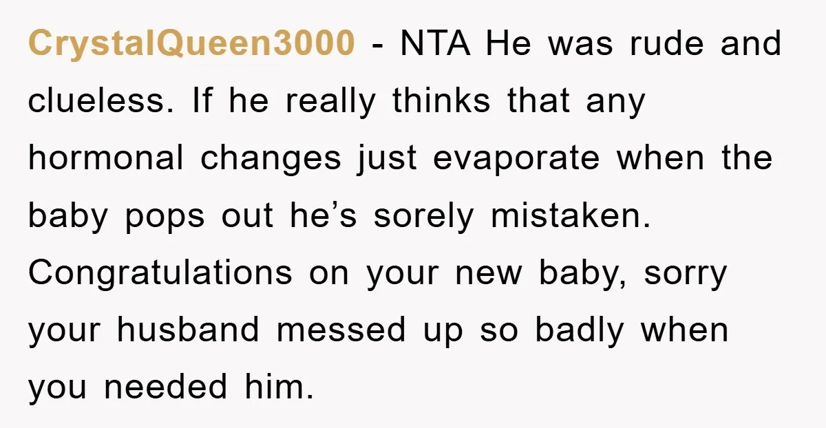 CrystalQueen3000 − NTA He was rude and clueless. If he really thinks that any hormonal changes just evaporate when the baby pops out he’s sorely mistaken. Congratulations on your new...