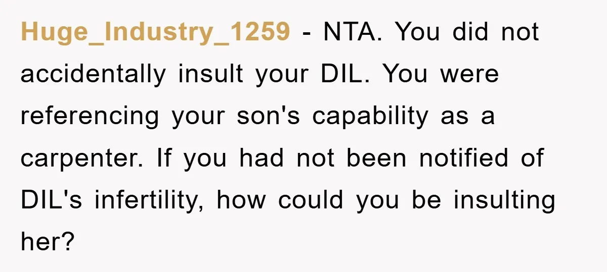 Huge_Industry_1259 − NTA. You did not accidentally insult your DIL. You were referencing your son's capability as a carpenter. If you had not been notified of DIL's infertility, how could...