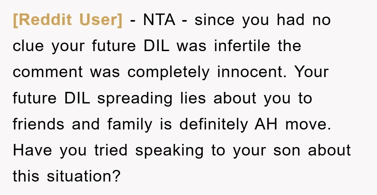 [Reddit User] − NTA - since you had no clue your future DIL was infertile the comment was completely innocent. Your future DIL spreading lies about you to friends and...