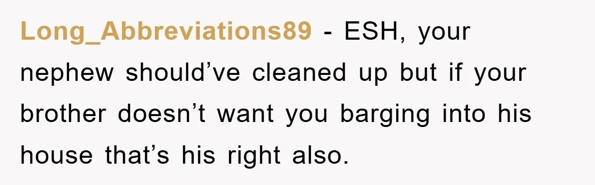 Long_Abbreviations89 − ESH, your nephew should’ve cleaned up but if your brother doesn’t want you barging into his house that’s his right also.