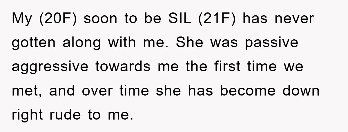 My (20F) soon to be SIL (21F) has never gotten along with me. She was passive aggressive towards me the first time we met, and over time she has become...