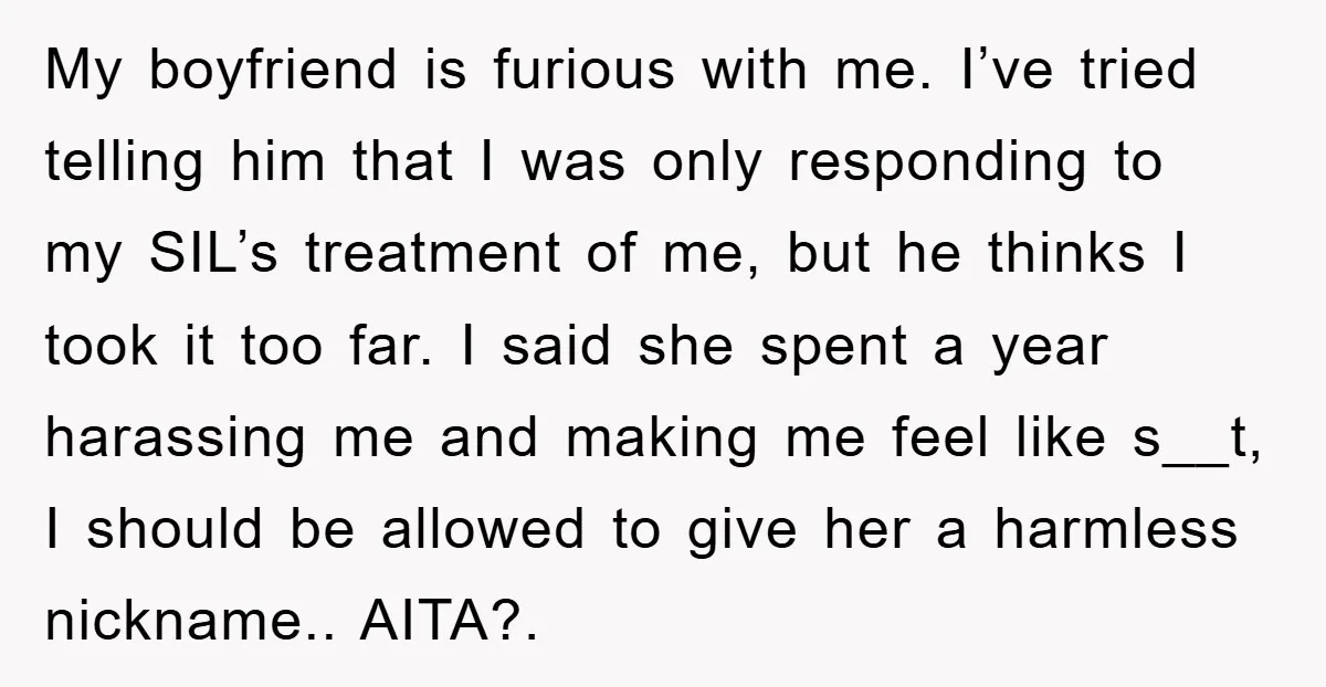 My boyfriend is furious with me. I’ve tried telling him that I was only responding to my SIL’s treatment of me, but he thinks I took it too far. I...