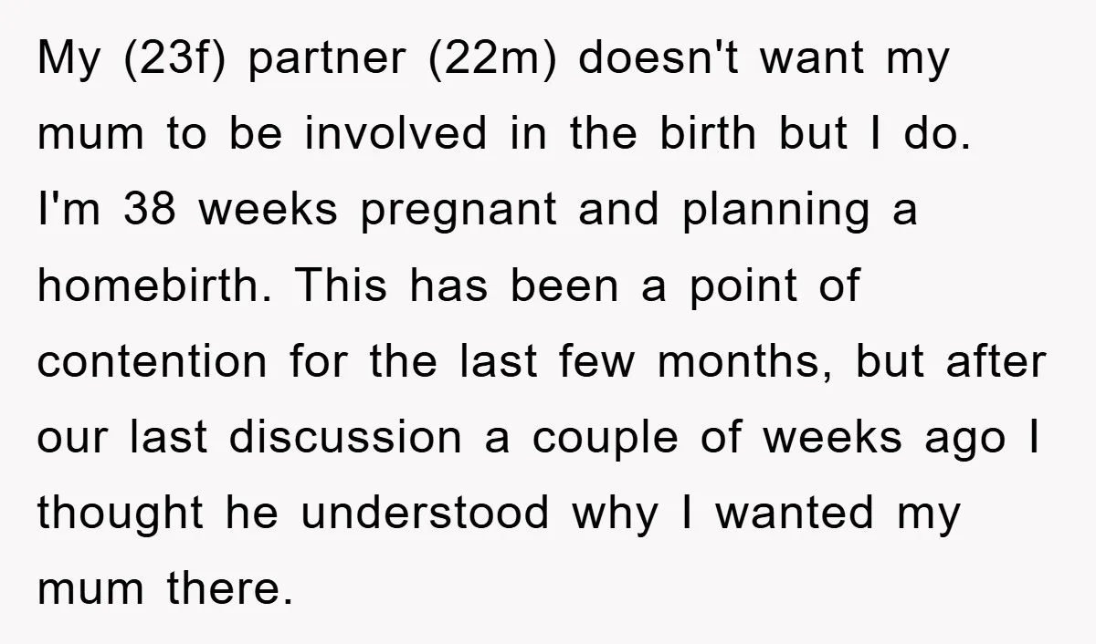 My (23f) partner (22m) doesn't want my mum to be involved in the birth but I do. I'm 38 weeks pregnant and planning a homebirth. This has been a point...