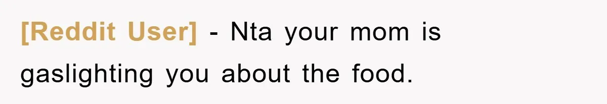 [Reddit User] − Nta your mom is gaslighting you about the food.