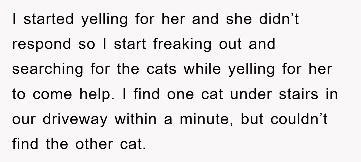 I started yelling for her and she didn’t respond so I start freaking out and searching for the cats while yelling for her to come help. I find one cat...