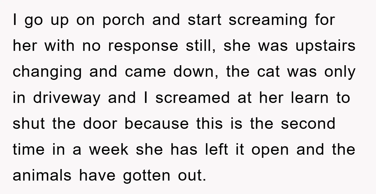 I go up on porch and start screaming for her with no response still, she was upstairs changing and came down, the cat was only in driveway and I screamed...