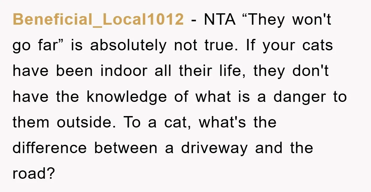 Beneficial_Local1012 − NTA “They won't go far” is absolutely not true. If your cats have been indoor all their life, they don't have the knowledge of what is a danger...