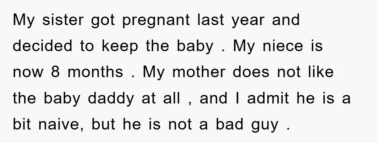 My sister got pregnant last year and decided to keep the baby . My niece is now 8 months . My mother does not like the baby daddy at all...