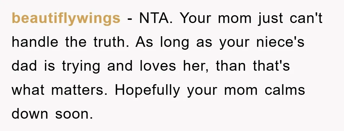 beautiflywings − NTA. Your mom just can't handle the truth. As long as your niece's dad is trying and loves her, than that's what matters. Hopefully your mom calms down...