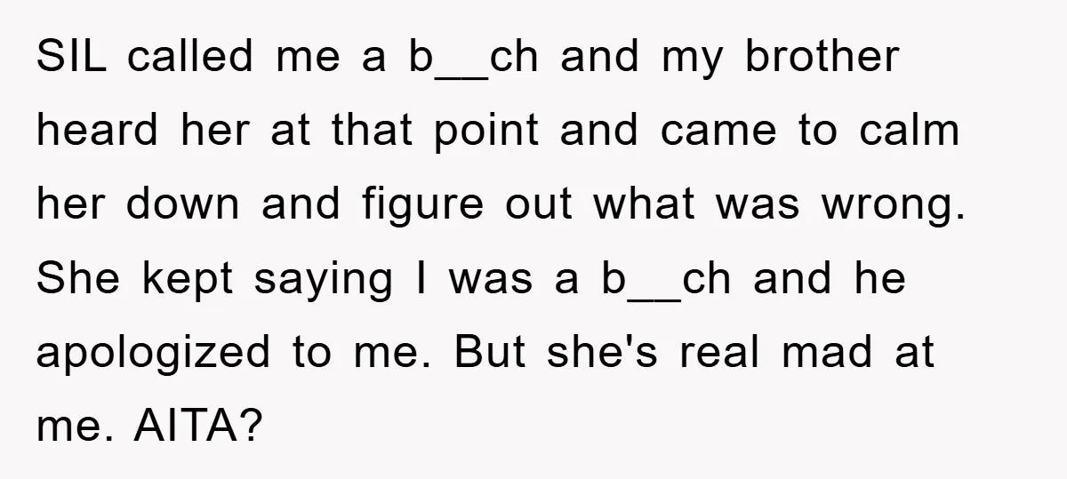 SIL called me a b__ch and my brother heard her at that point and came to calm her down and figure out what was wrong. She kept saying I was...