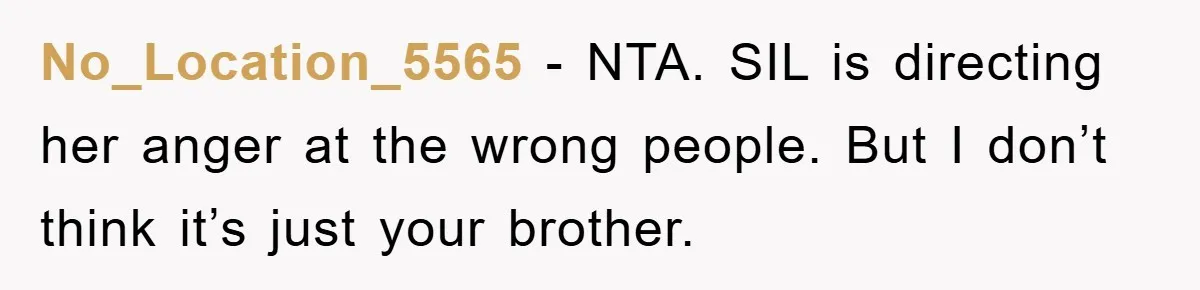 No_Location_5565 − NTA. SIL is directing her anger at the wrong people. But I don’t think it’s just your brother.