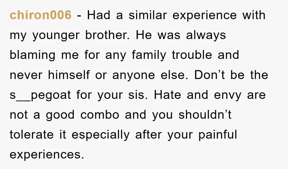 chiron006 − Had a similar experience with my younger brother. He was always blaming me for any family trouble and never himself or anyone else. Don’t be the s__pegoat for...