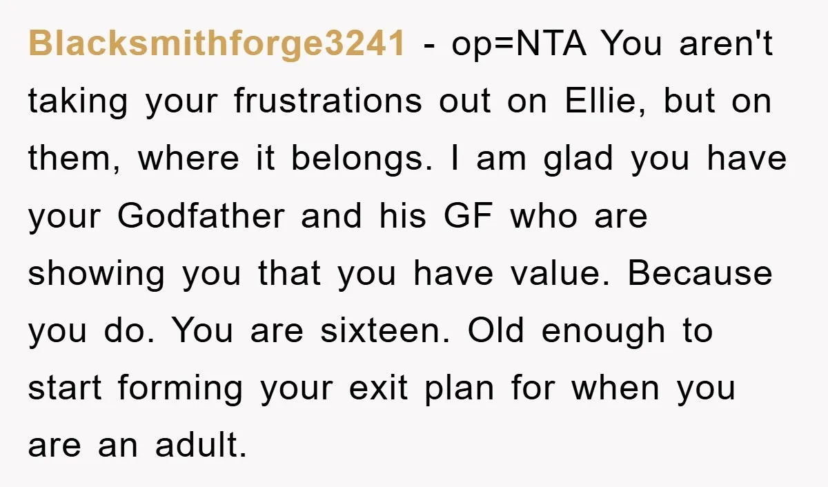 Blacksmithforge3241 − op=NTA You aren't taking your frustrations out on Ellie, but on them, where it belongs. I am glad you have your Godfather and his GF who are showing...