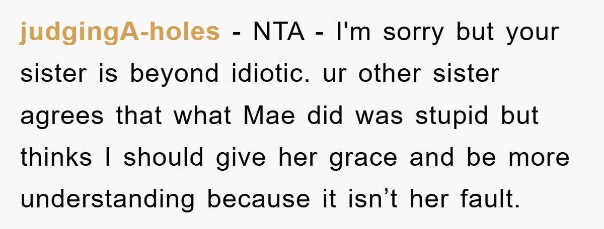 judgingA-holes − NTA - I'm sorry but your sister is beyond idiotic. ur other sister agrees that what Mae did was stupid but thinks I should give her grace and...