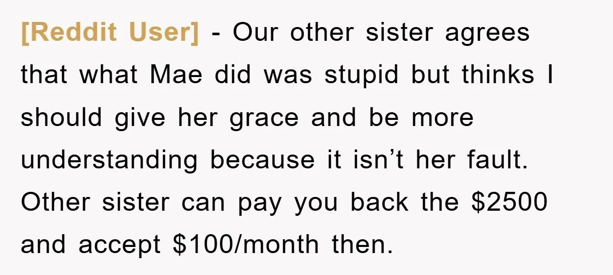 [Reddit User] − Our other sister agrees that what Mae did was stupid but thinks I should give her grace and be more understanding because it isn’t her fault. Other...