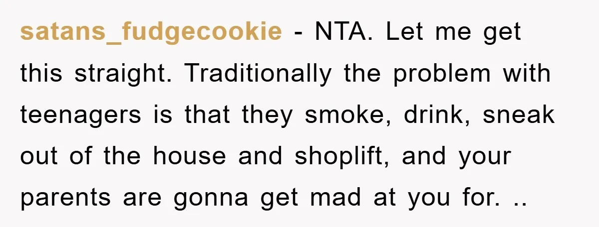 satans_fudgecookie − NTA. Let me get this straight. Traditionally the problem with teenagers is that they smoke, drink, sneak out of the house and shoplift, and your parents are gonna...