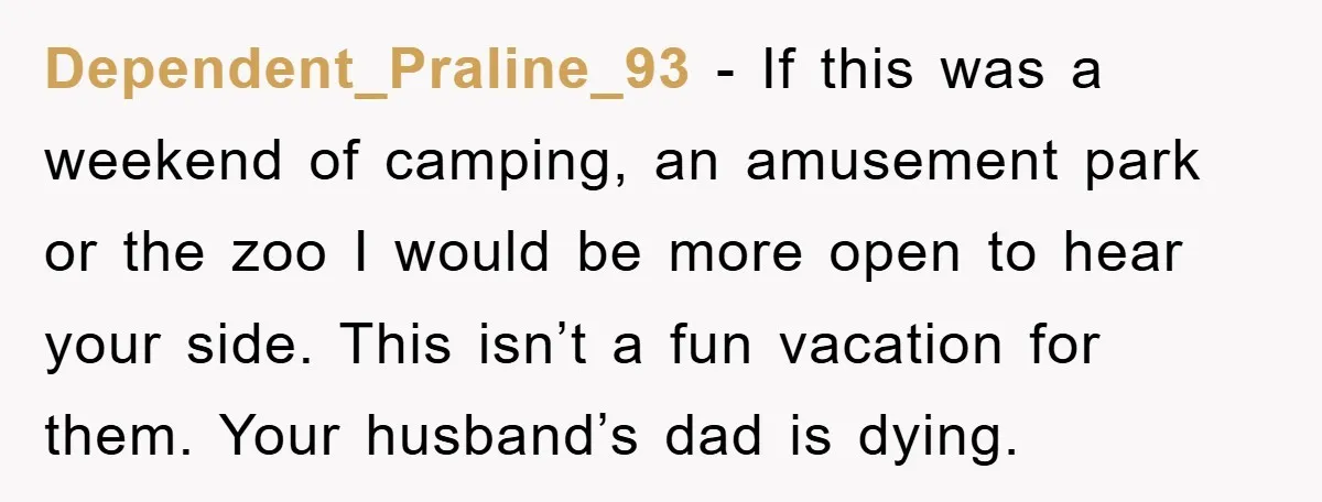 Dependent_Praline_93 − If this was a weekend of camping, an amusement park or the zoo I would be more open to hear your side. This isn’t a fun vacation for...