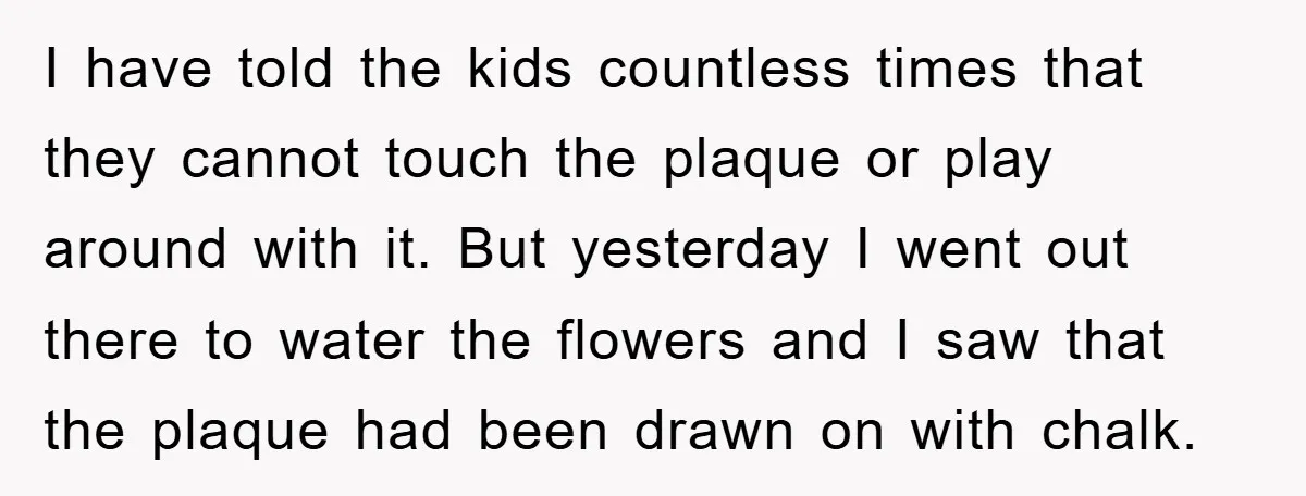 I have told the kids countless times that they cannot touch the plaque or play around with it. But yesterday I went out there to water the flowers and I...