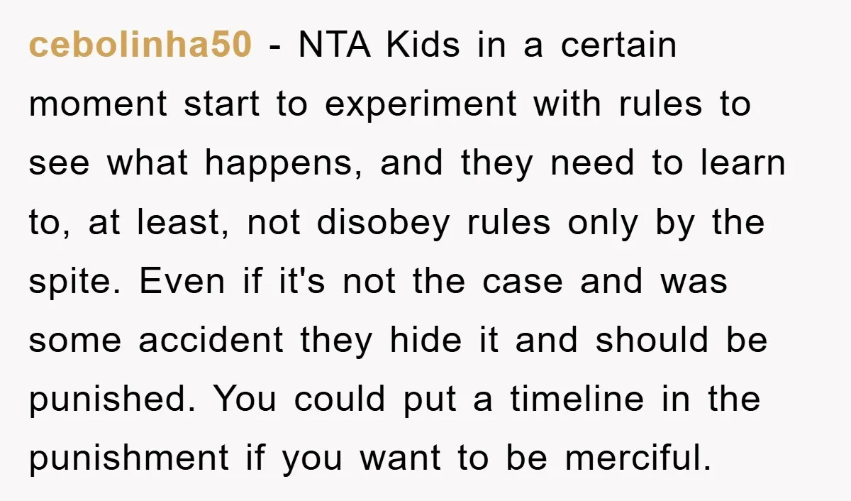 cebolinha50 − NTA Kids in a certain moment start to experiment with rules to see what happens, and they need to learn to, at least, not disobey rules only by...