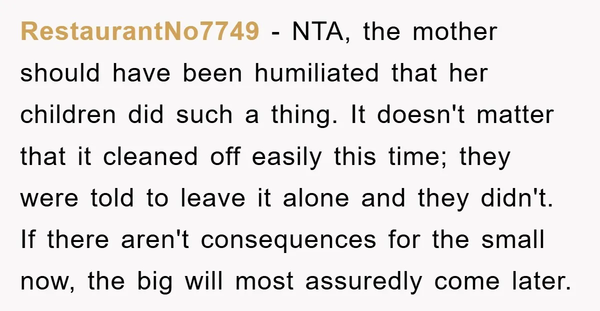 RestaurantNo7749 − NTA, the mother should have been humiliated that her children did such a thing. It doesn't matter that it cleaned off easily this time; they were told to...