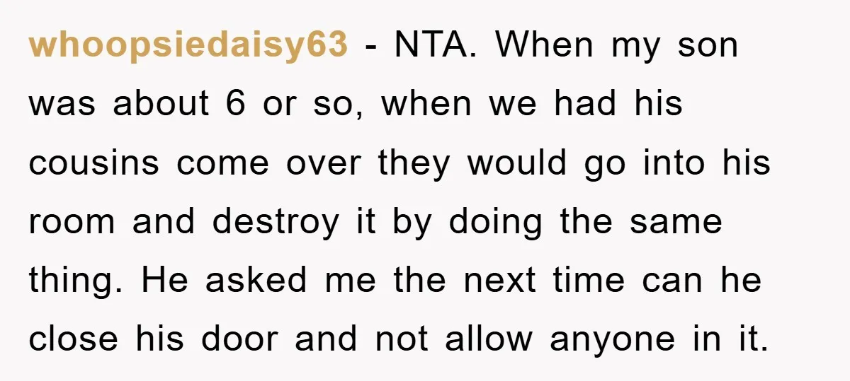 whoopsiedaisy63 − NTA. When my son was about 6 or so, when we had his cousins come over they would go into his room and destroy it by doing the...