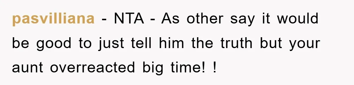 pasvilliana − NTA - As other say it would be good to just tell him the truth but your aunt overreacted big time! !