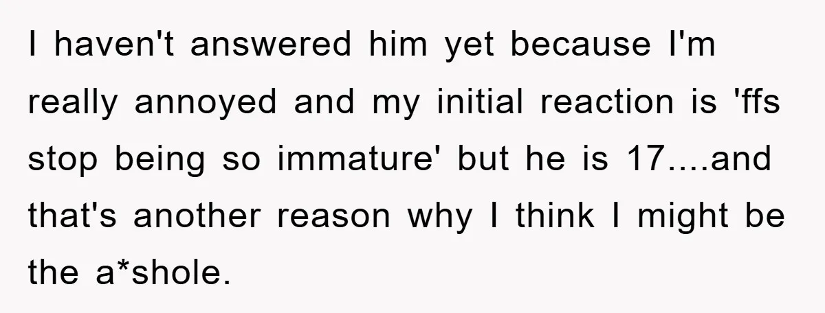 I haven't answered him yet because I'm really annoyed and my initial reaction is 'ffs stop being so immature' but he is 17....and that's another reason why I think I...