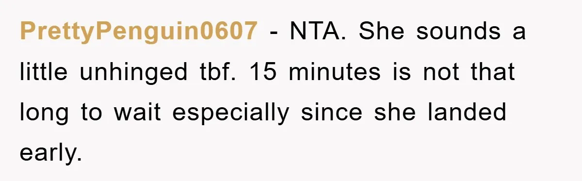 PrettyPenguin0607 − NTA. She sounds a little unhinged tbf. 15 minutes is not that long to wait especially since she landed early.